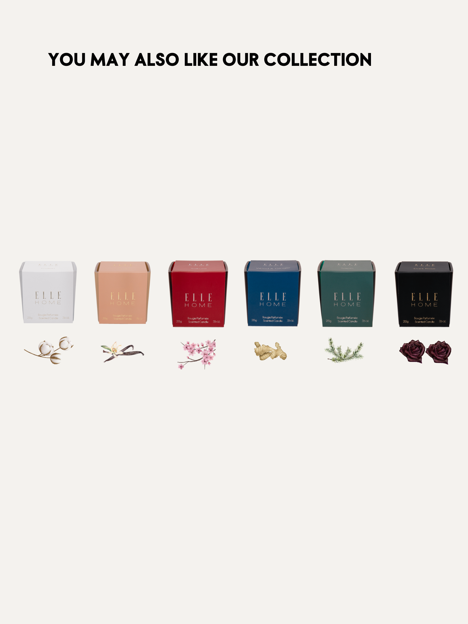 215GR Scented Candle - Wood & Ginger