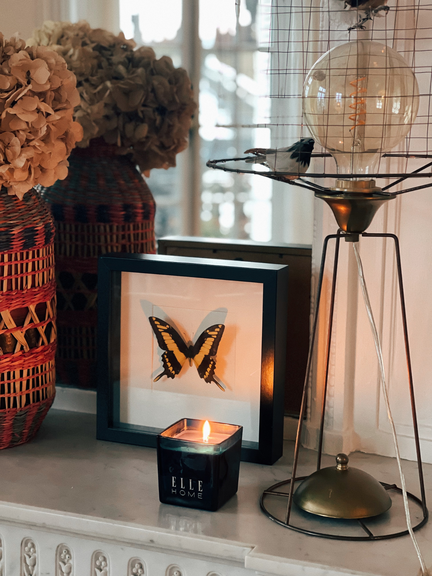 215GR Scented Candle - Sapin